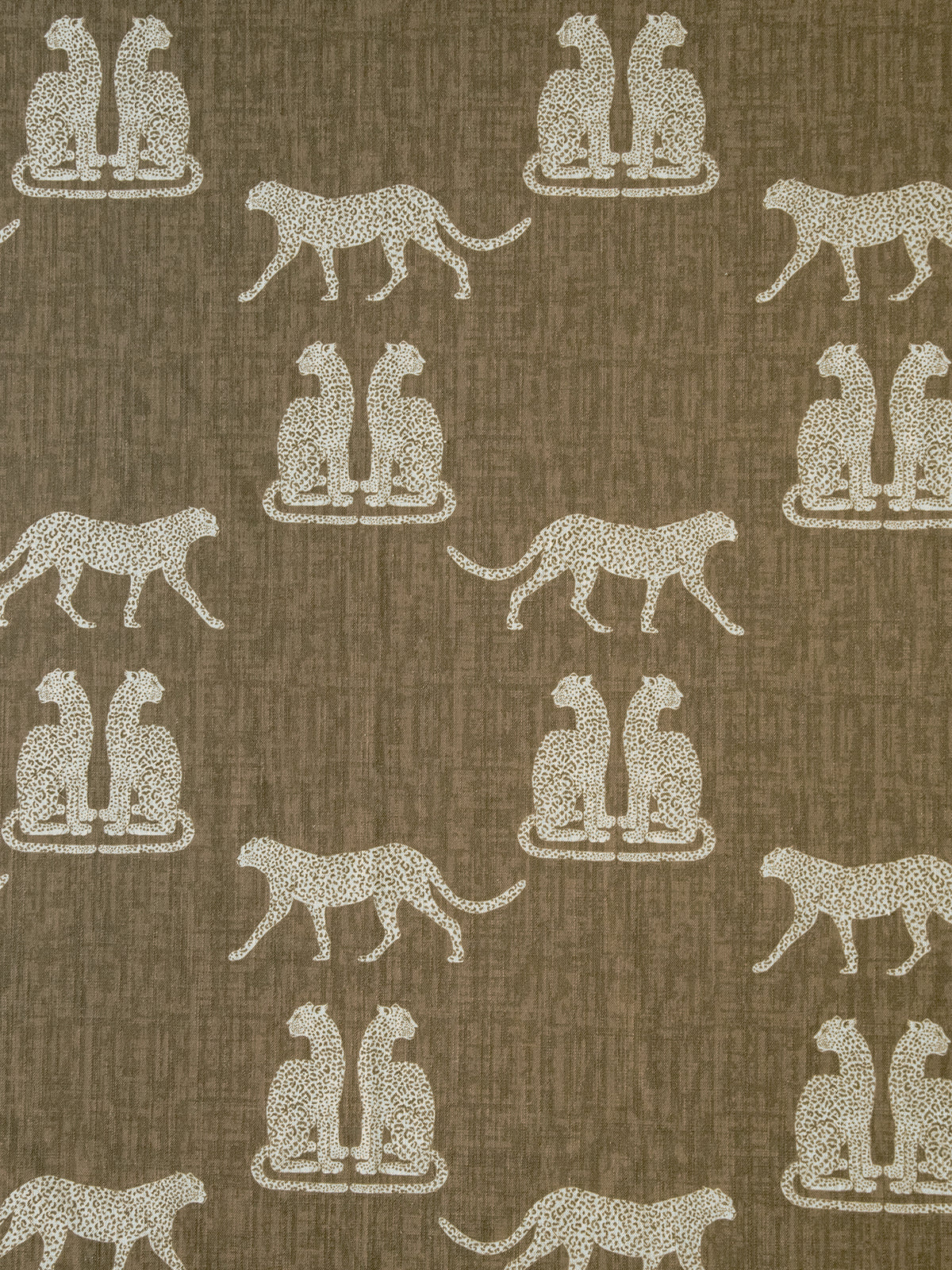 Wild Majesty (Mocha)