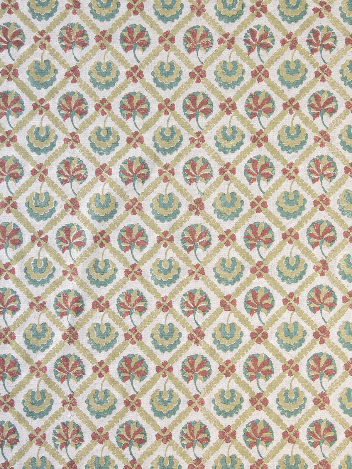Turkish Tulip (Sage) - Sample