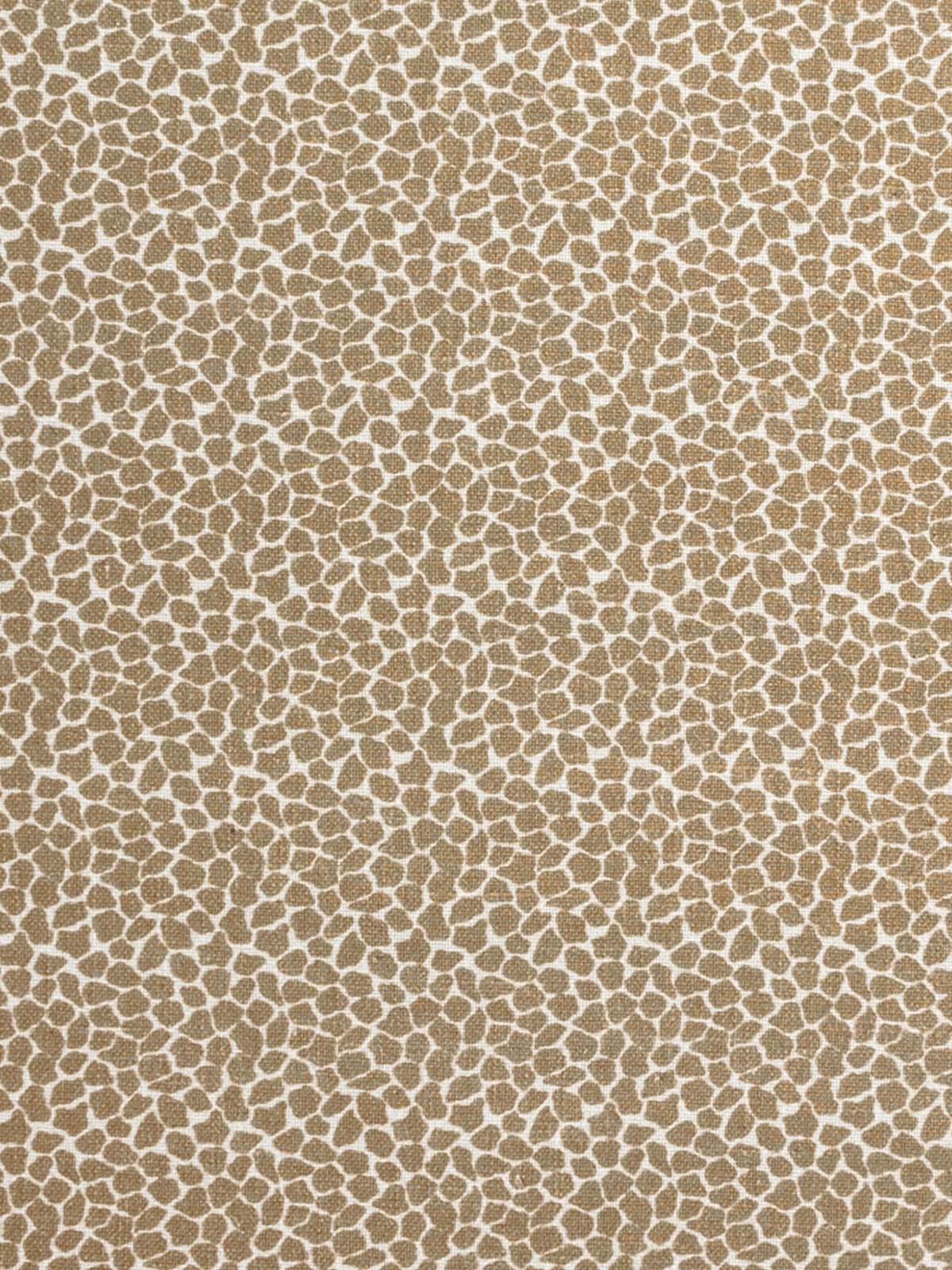 Rosette (Bark)