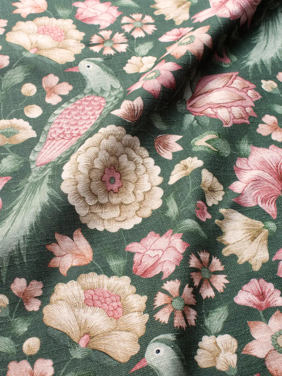Petal & Plume (Meadow)