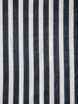 Mashru Stripes (Onyx)  - Sample