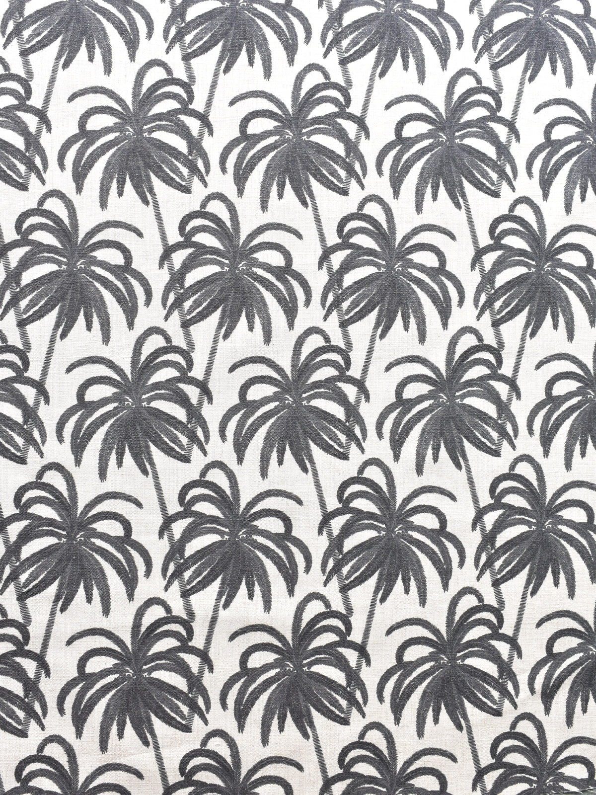 Palm Bay (Noir)