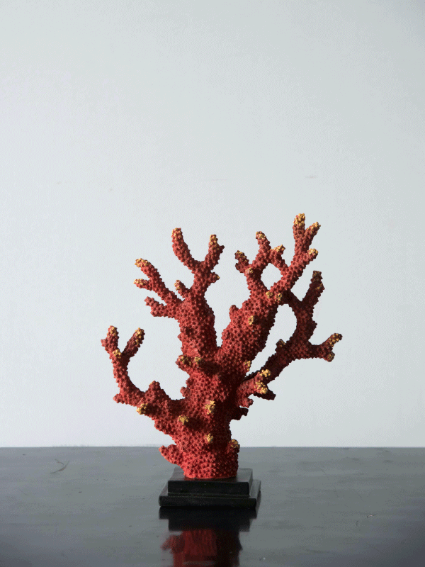 Coral Stand-Orange-Small