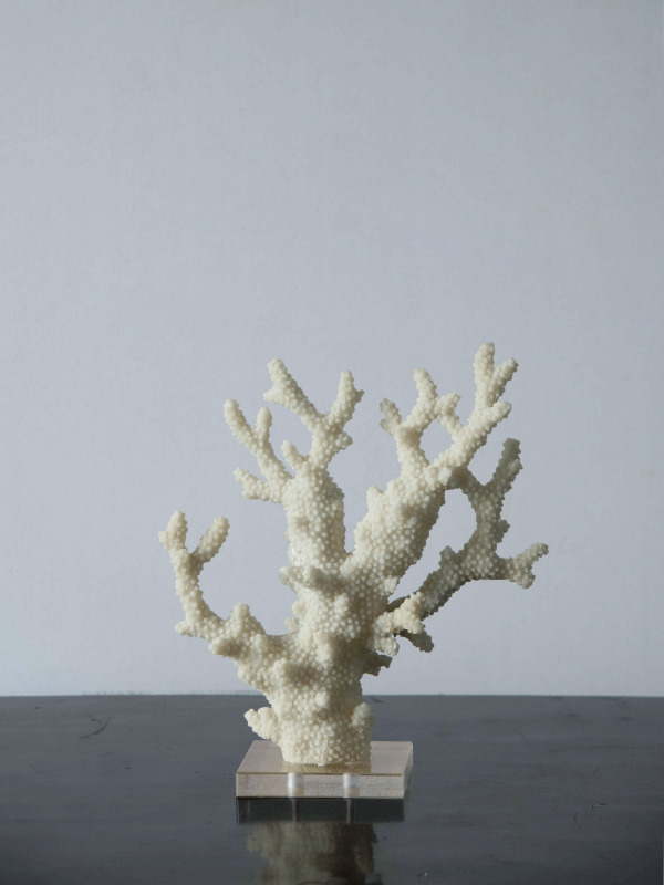 Coral Stand-White-Small