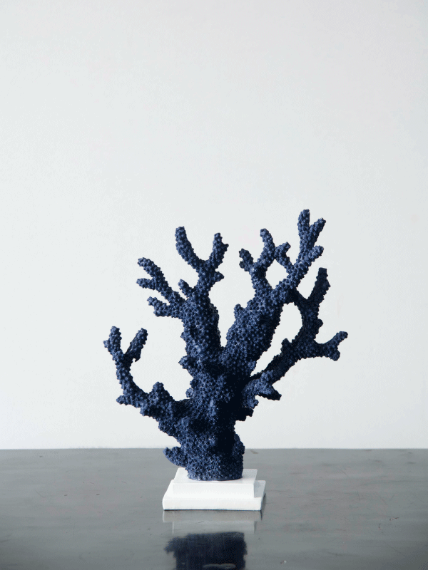 Coral Stand-Blue-Small