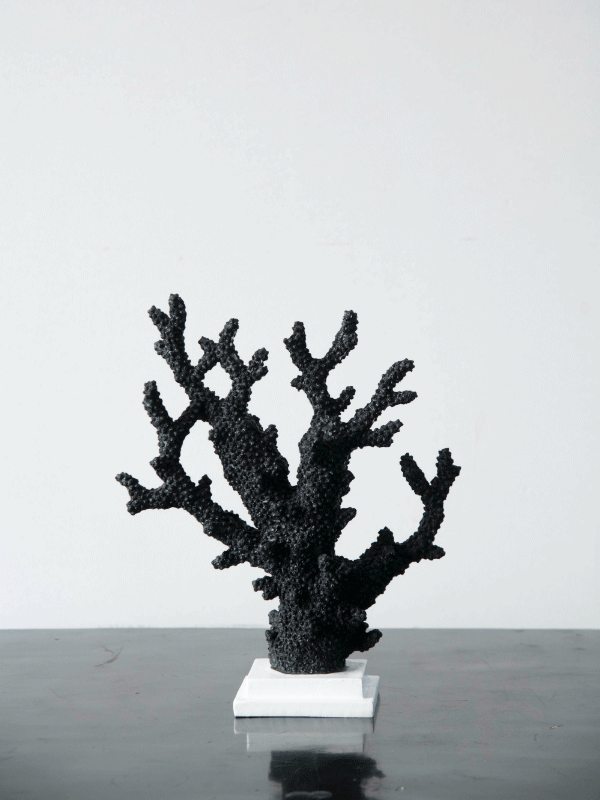 Coral Stand-Black-Small