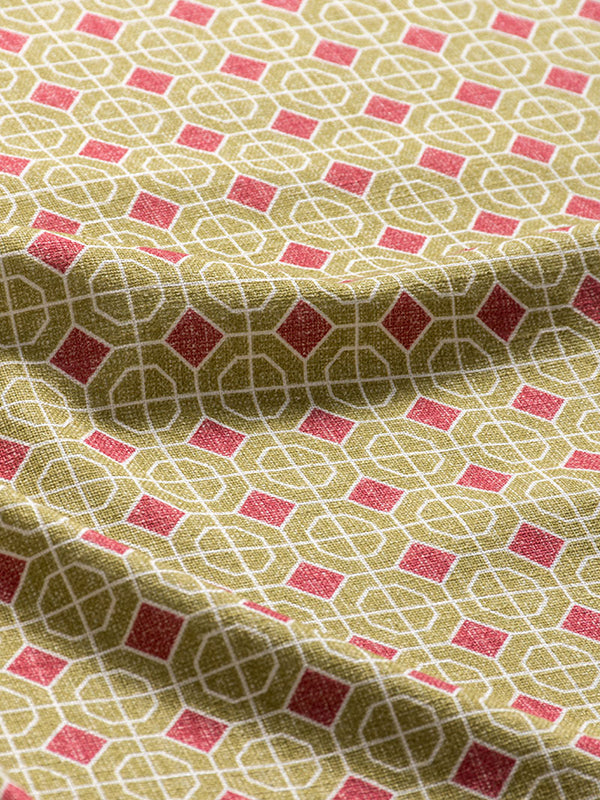 Geometric Lattice (Pink)